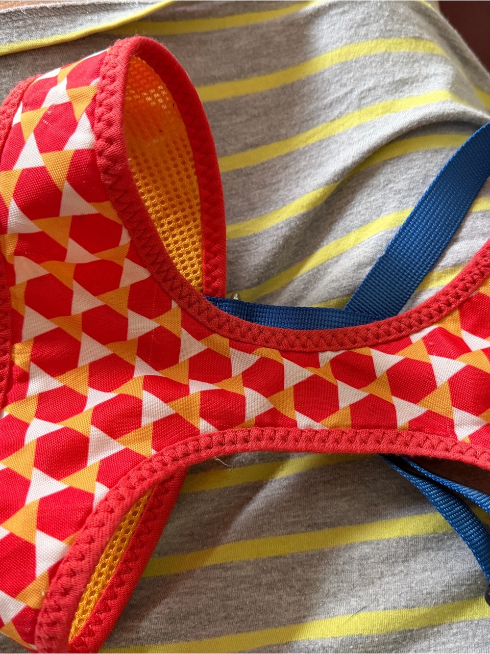 Geometric Red & Yellow Dog Harness with Blue Straps fits bigger than a medium